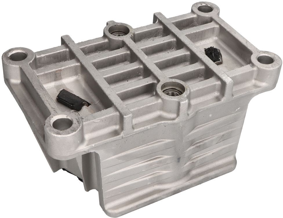 Reinhoch Supporto motore RH58-9013