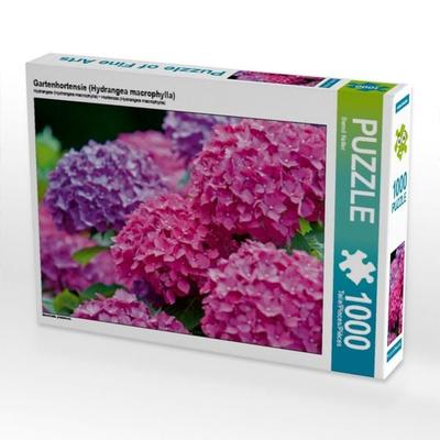 CALVENDO Puzzle Gartenhortensie (Hydrangea macrophylla) | 1000 Teile Lege-Größe 64x48cm Foto-Puzzle für glückliche Stunden
