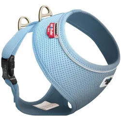 Curli basic sele Air-Mesh Lys blå XL (XL, Hund, Hundesport), Halsband + Leine