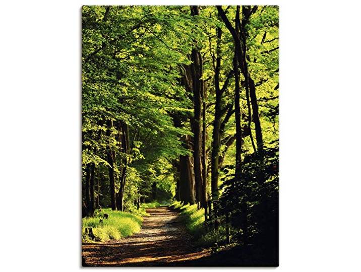 ARTLAND Wanddeko Leinwand Bilder Wandbild 90x120 cm Wald Landschaft Natur Frühling Sonne Bäume Landhaus T1UC