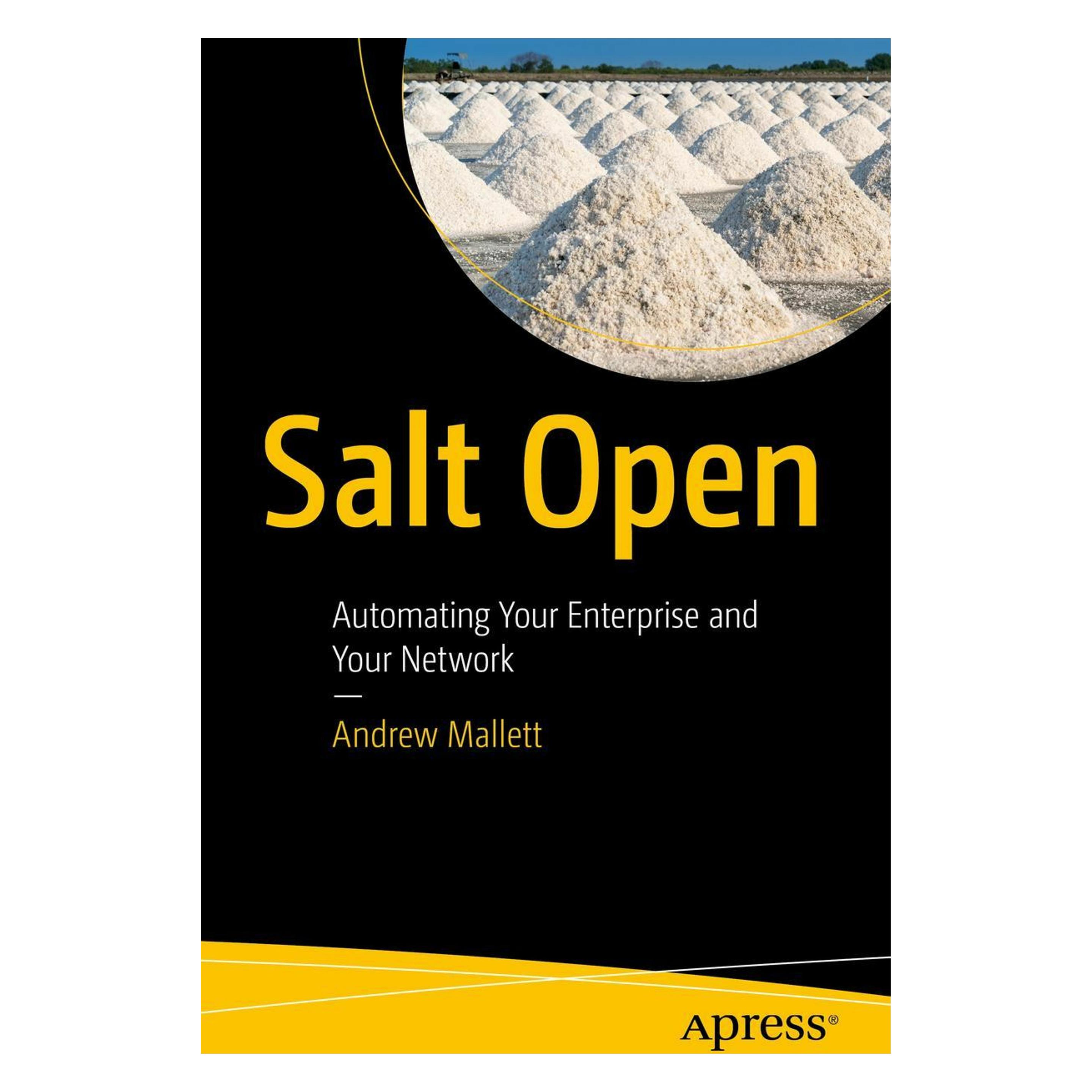 Springer Salt Open (Englisch, Softcover, Andrew Mallett) (56210667)