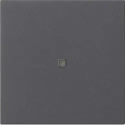 Gira 549528 Gira eNet Funk Bedienaufs. System 55 Anthrazit
