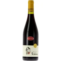 Beaujolais Nouveau - Terra Iconia 2026 - Vignerons des Pierres Dorées - 0.75L