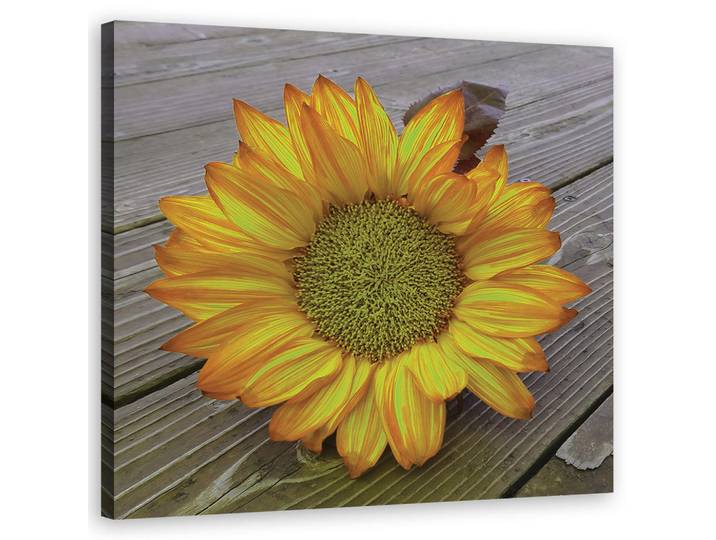 Feeby Wandbild gelbe sonnenblume, Gelb, Floral, Rechteckig, 50x50 cm, Bilder & Rahmen, Bilder, Leinwandbilder