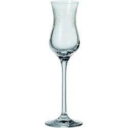 LEONARDO Grappaglas Chateau 90 ml