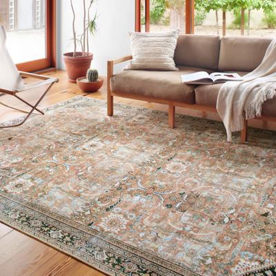 Alexander Home Sophia Printed Botanical Vintage Area Rug