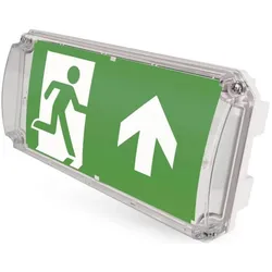 Emos, Deckenleuchte, LED Emergency Bulkhead Nessi 4w 3h At Ip66 (300 lm)