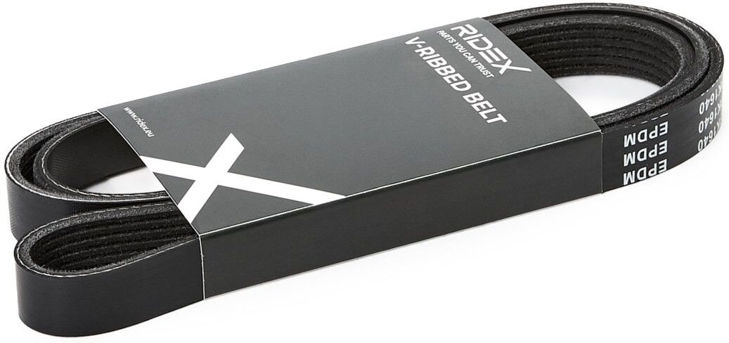 RIDEX 305P0078 Multiriem