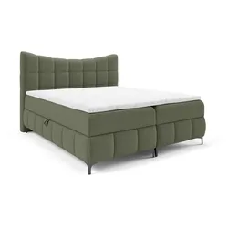 BOXBETT Charles In Aragon