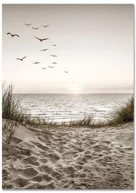 Uplift Picks Nordic Beach Canvas Wall Art Minimalist Shell Flower Prints Decor 09 30x40 Cm