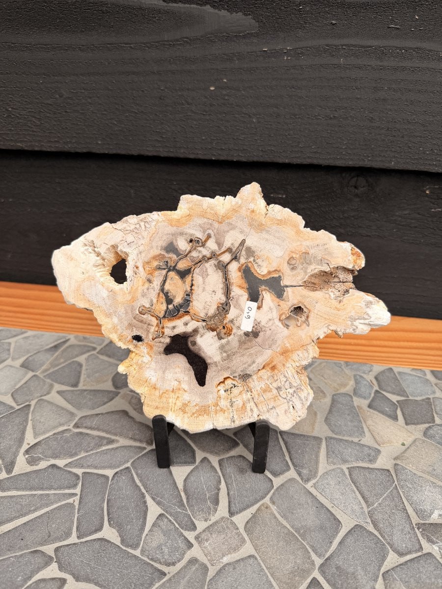 GemWood - Schijf Versteend Hout