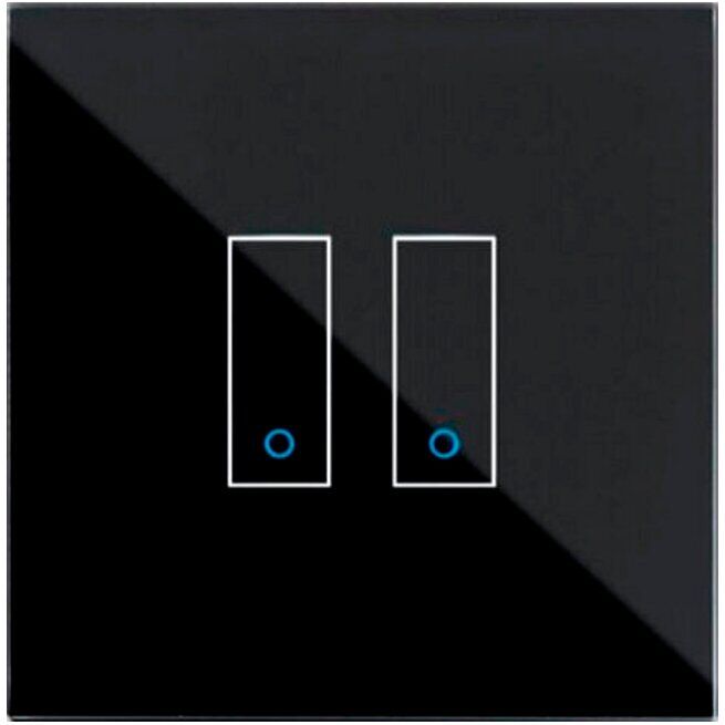 INTERRUPTOR IOTTY SMART 2X PR