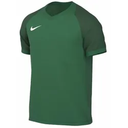 Nike Trophy VI Trikot Kinder - grün - 137-147