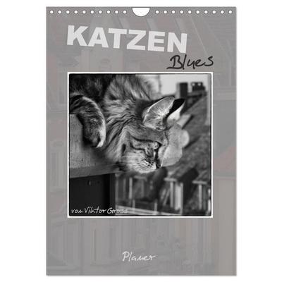 Katzen Blues / Planer (Wandkalender 2027 DIN A4 hoch), CALVENDO Monatskalender