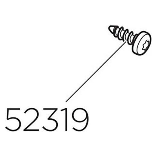 Thule Screw RTS 4 2x13 T20 grey (Grau) (52319)