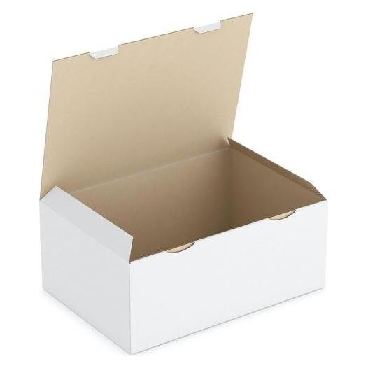 Rajapack Raja Versandkarton 1-wellig Pappe 300 (B) x 180 (T) x 430 (H) mm Weiss (50 Stk.) (RPT123)