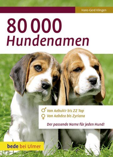 Hans-Gerd Klingen - 80 000 Hundenamen: Von Aabukir bis ZZ Top. Von Aabdea bis Zyriana. Der passende Namen für jeden Hund - Preis vom 09.10.2026 07:28:09 h