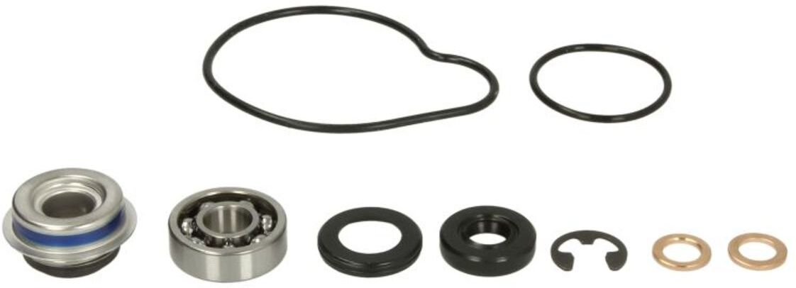 Pompe à eau WINDEROSA W821839