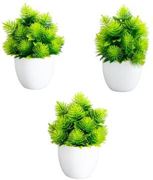 Nearly Natural 6-in Artificial Cactus Plant in White Round Pot - Set of 3