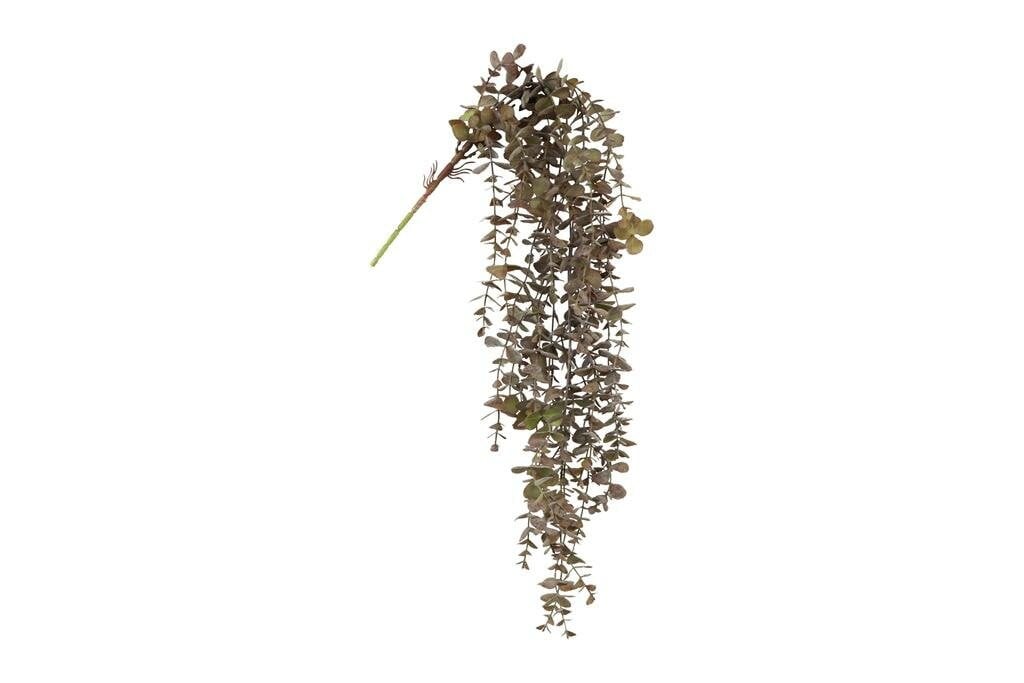Countryfield zijden hangplant eucalyptus rood, 98 cm