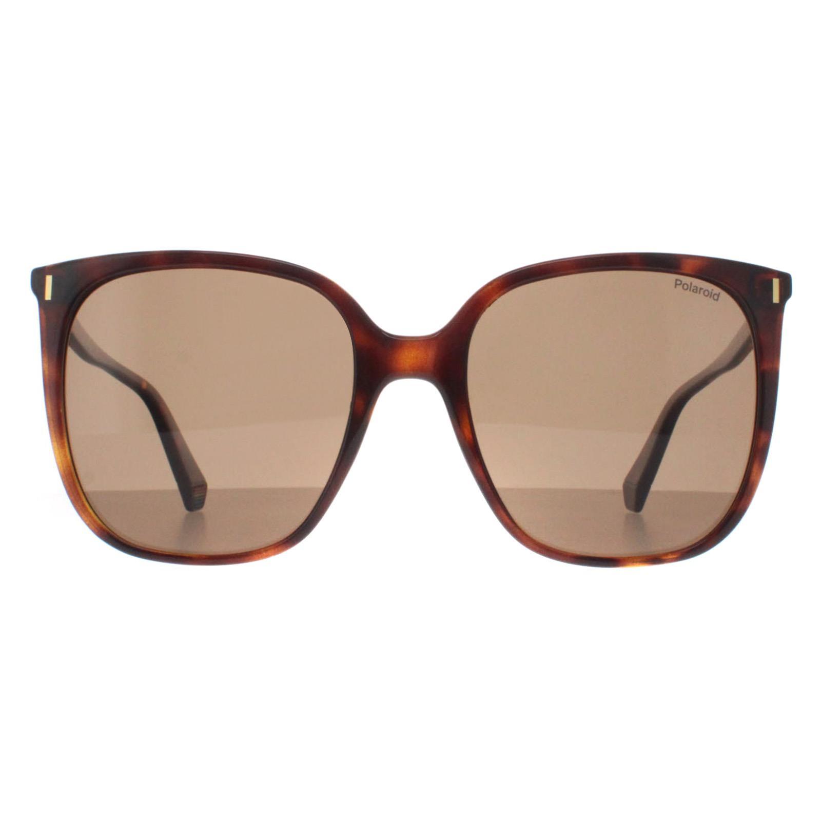 Polaroid Square Dames Havana Brons Gecoat PLD 6218/S