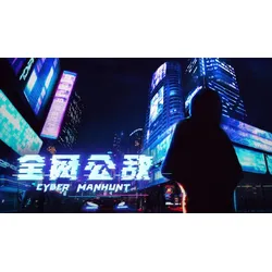 Cyber Manhunt