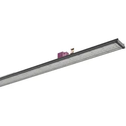 Ridi-Leuchten LED-Geräteträger, 7x VL2PGLS20 #2560600SW