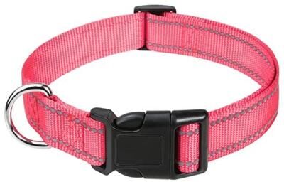 Uplifted Finds Small Dog Choker Collar Decorative Puppy Neck Accessory xl pink