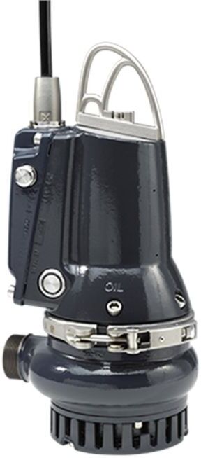 Grundfos Schmutzwasserpumpe 96877503 Grauguss, 10 m Kabel, DP10.50.15.E.2.50B, R 2 AG