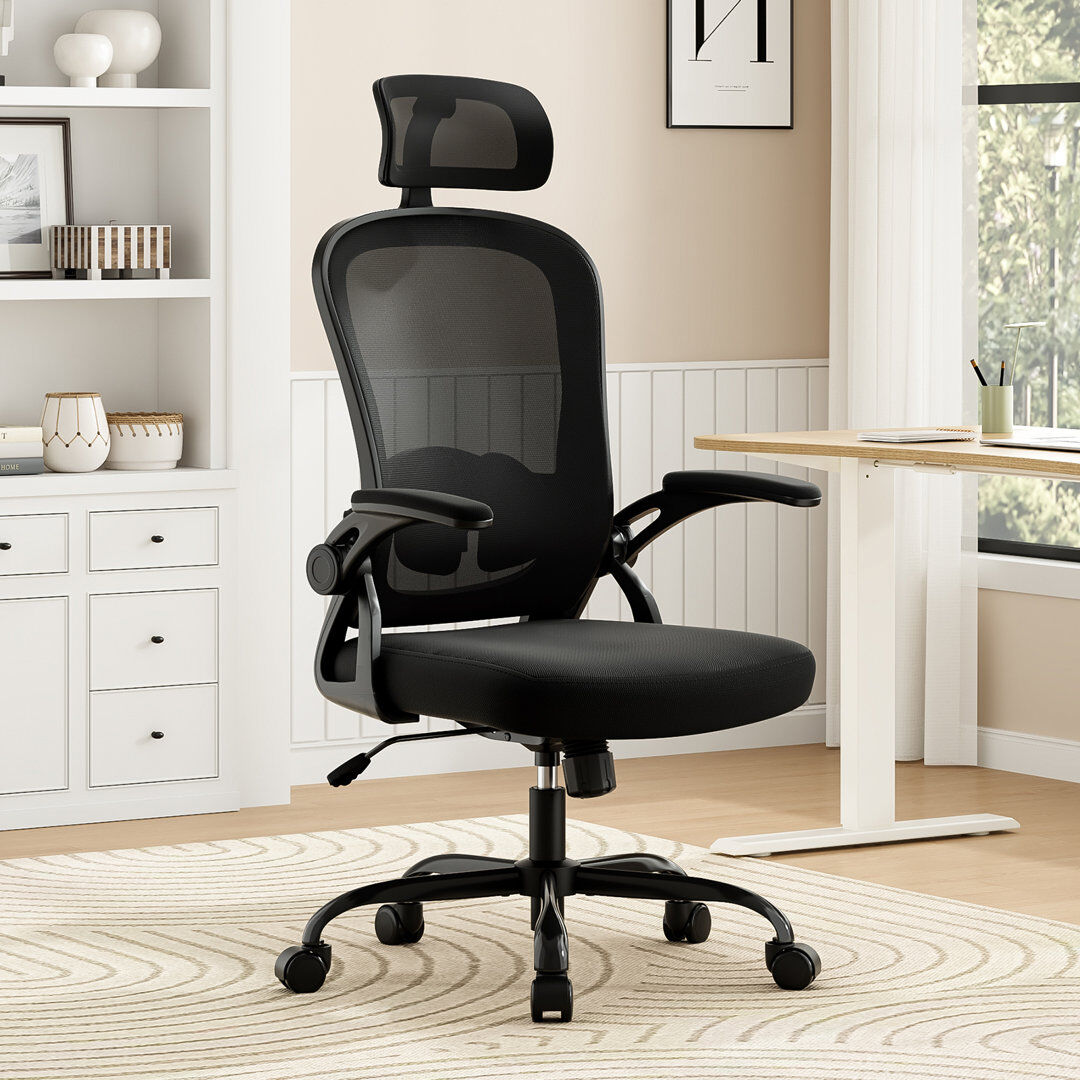 Inbox Zero Montclaire Mesh Desk Chair With Adjustable Lumbar Support Black/Black 64cm W X 64cm D
