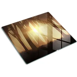 GLASPLATTE 60x52 cm Nebel im Wald