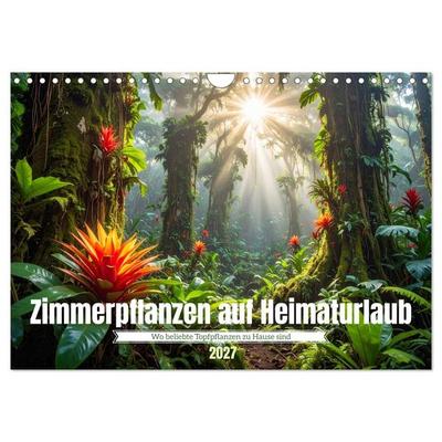 Zimmerpflanzen auf Heimaturlaub (Wandkalender 2027 DIN A4 quer), CALVENDO Monatskalender