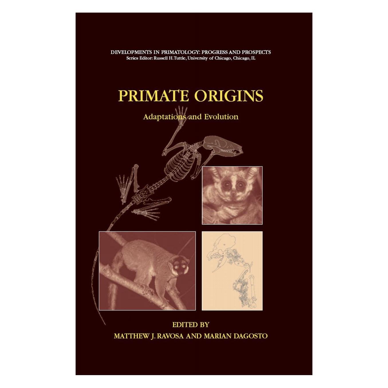 Springer Primate Origins: Adaptations and Evolution (Englisch, Hardcover, Marian Dagosto, Matthew J. Ravosa) (9780387303352)