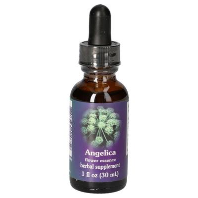 Angelica FES kalifornische Blütenessenz Tropfen 30 ml