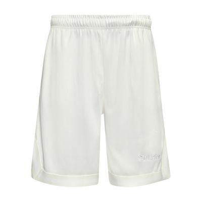Dropsize "Dropsize Herren Dropsize Logo Mesh Shorts"
