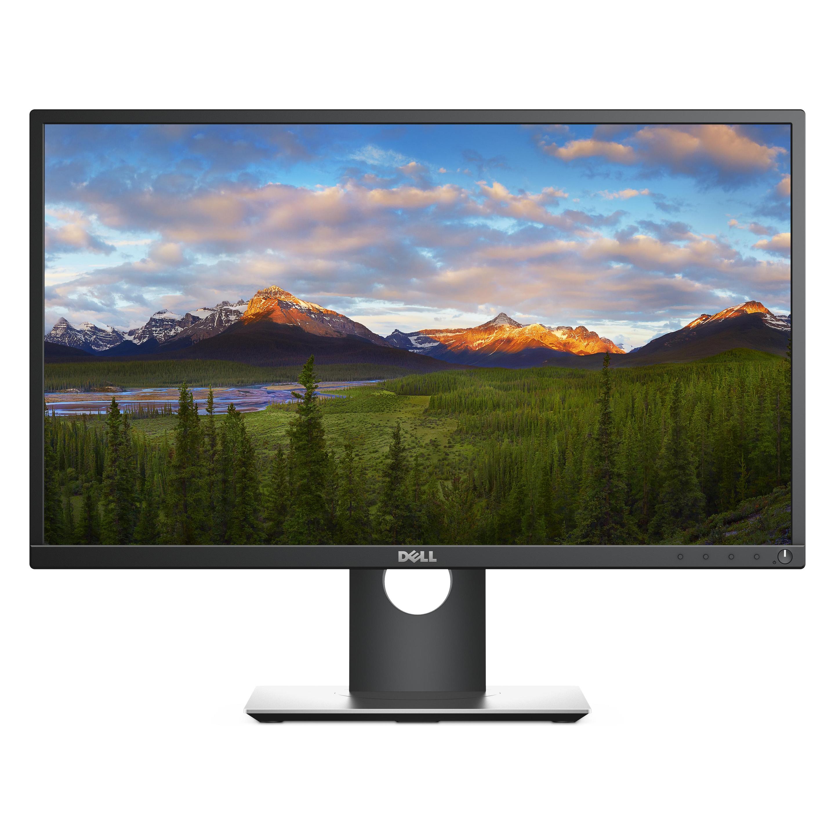 Dell P2417h (1920 x 1080 Pixel, 24") (P2417H)