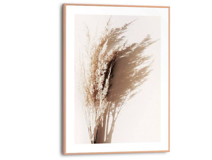 Poster REINDERS Sonniges Gras , beige (farbe bild(er): beige), B:30cm H:40cm T:1,6cm, MDF, Bilder, Poster
