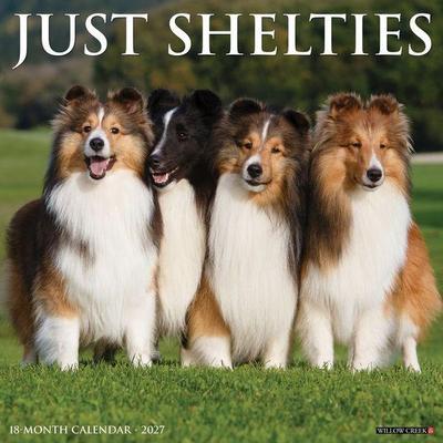 Shelties 2027 12 X 12 Wall Calendar