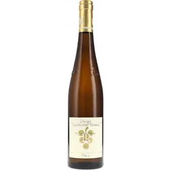 Riesling Im Sonnenschein GG Ökonomierat Rebholz 2023 BIO