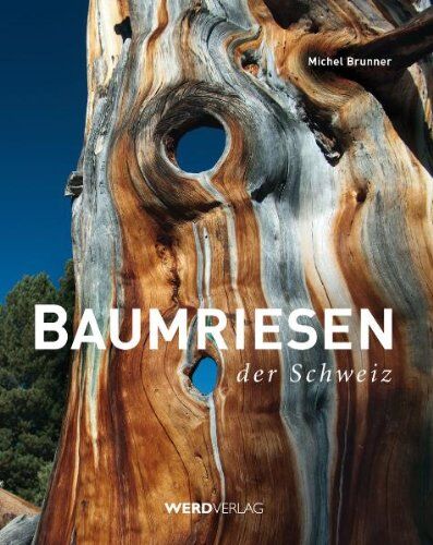 Michel Brunner - Baumriesen der Schweiz - Preis vom 18.10.2026 15:28:09 h