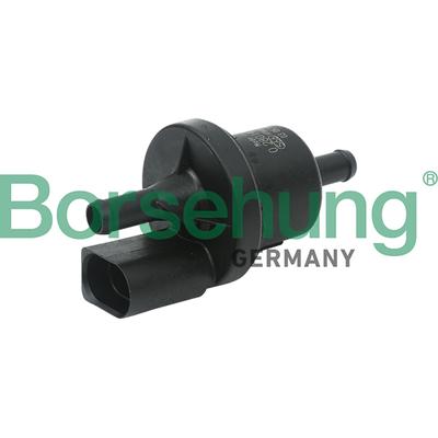 BORSEHUNG AKF-Ventil B13667 für VW