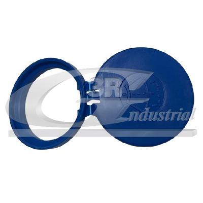 3RG Verschluss, Waschwasserbehälter 29201 für DS Peugeot TOYOTA