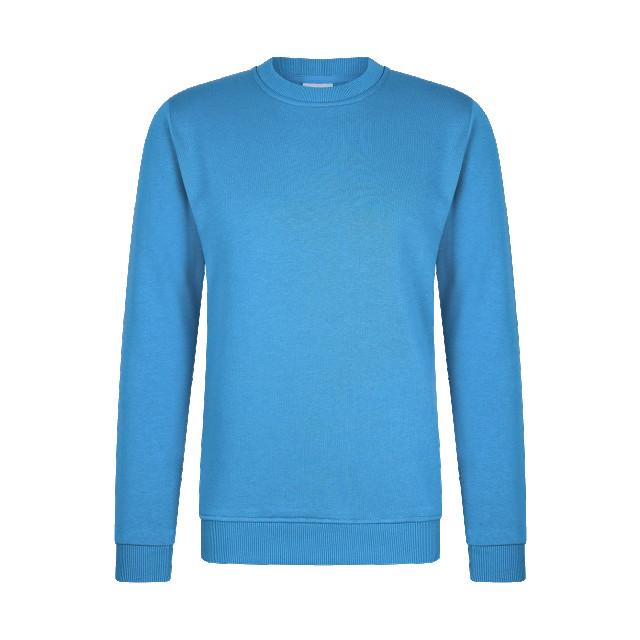 Hønk Zomers sweatshirt