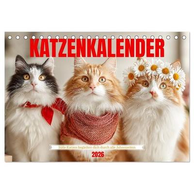 Katzenkalender - Süße Katzen begleiten dich durch alle Jahreszeiten (Tischkalender 2026 DIN A5 quer), CALVENDO Monatskalender