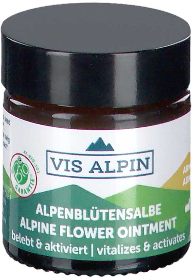 VIS ALPIN Bio Aktivbalsam Arnika 30g