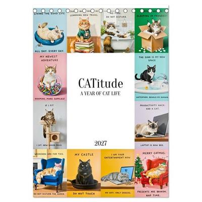 CATitude A YEAR OF CAT LIFE (Desk Calendar 2027 DIN A5 portrait), CALVENDO 12 Month DeskCalendar