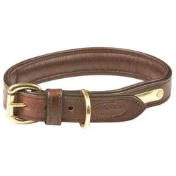 Weatherbeeta Gepolstertes Hundehalsband aus Leder (XL, Hund, Allgemein), Halsband + Leine