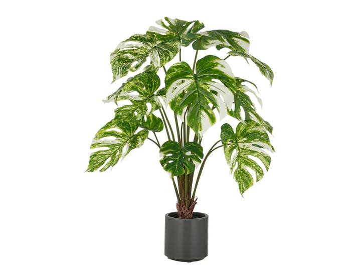 Kunstpflanze Split Philodendron Typ A 70 x 100 x 70cm Grün / Weiß