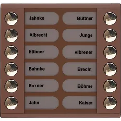 TCS Tür Control Audioaußenstation 2-reihig PET12-EB/04
