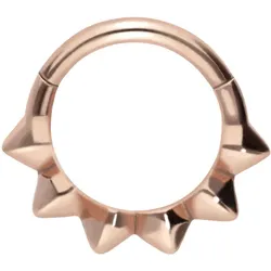 Chirurgenstahl Segmentring Clicker SPITZEN